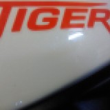 tigerider